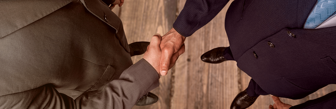 Professional handshake